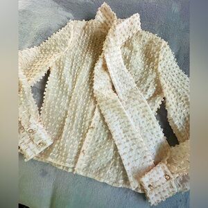 Valentina Shah Womens Light Pink Sheer Long Sleeve Button Up Blouse Top XS